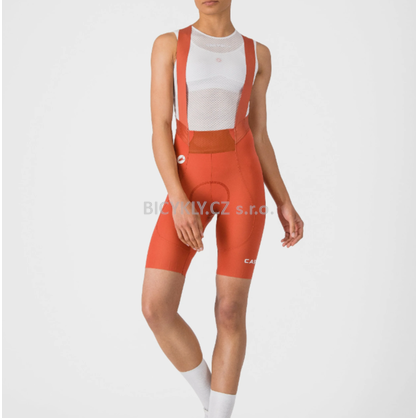 Snimek_obrazovky_2026-03-17_151613